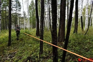 林業調查規劃的探路人 工業發展中的綠色導航者