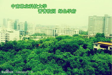 中國好大學之中南林業科技大學 林業學科的特色與優勢