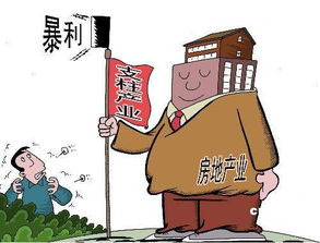 面對房產(chǎn)泡沫 房地產(chǎn)業(yè)的應(yīng)對之道